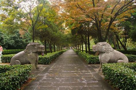 南京鍾山|南京钟山风景名胜区攻略,钟山风景名胜区门票